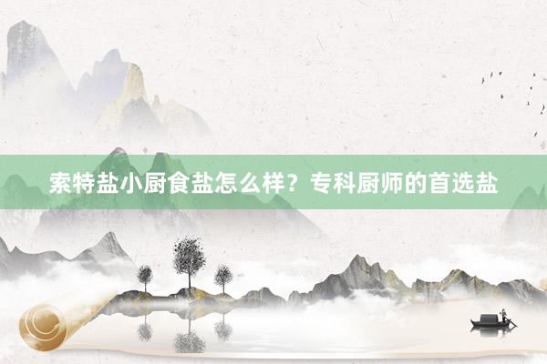 索特盐小厨食盐怎么样？专科厨师的首选盐